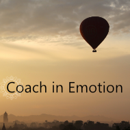 .Coach in Emotion 