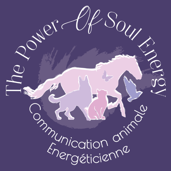 .The Power of Soul Energy 